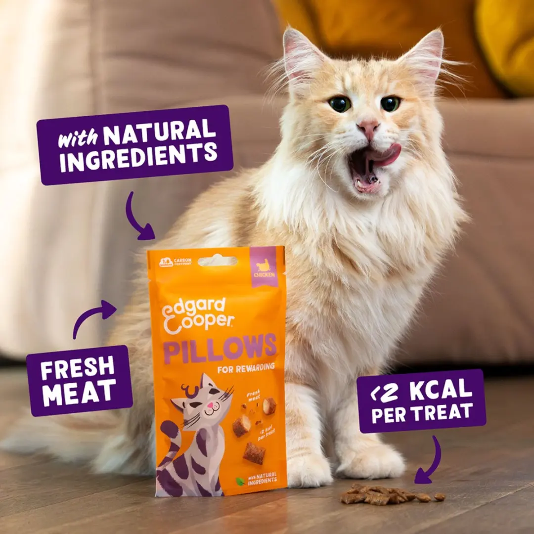 Edgard & Cooper Pillows Kip 4x60g Kattensnoepjes