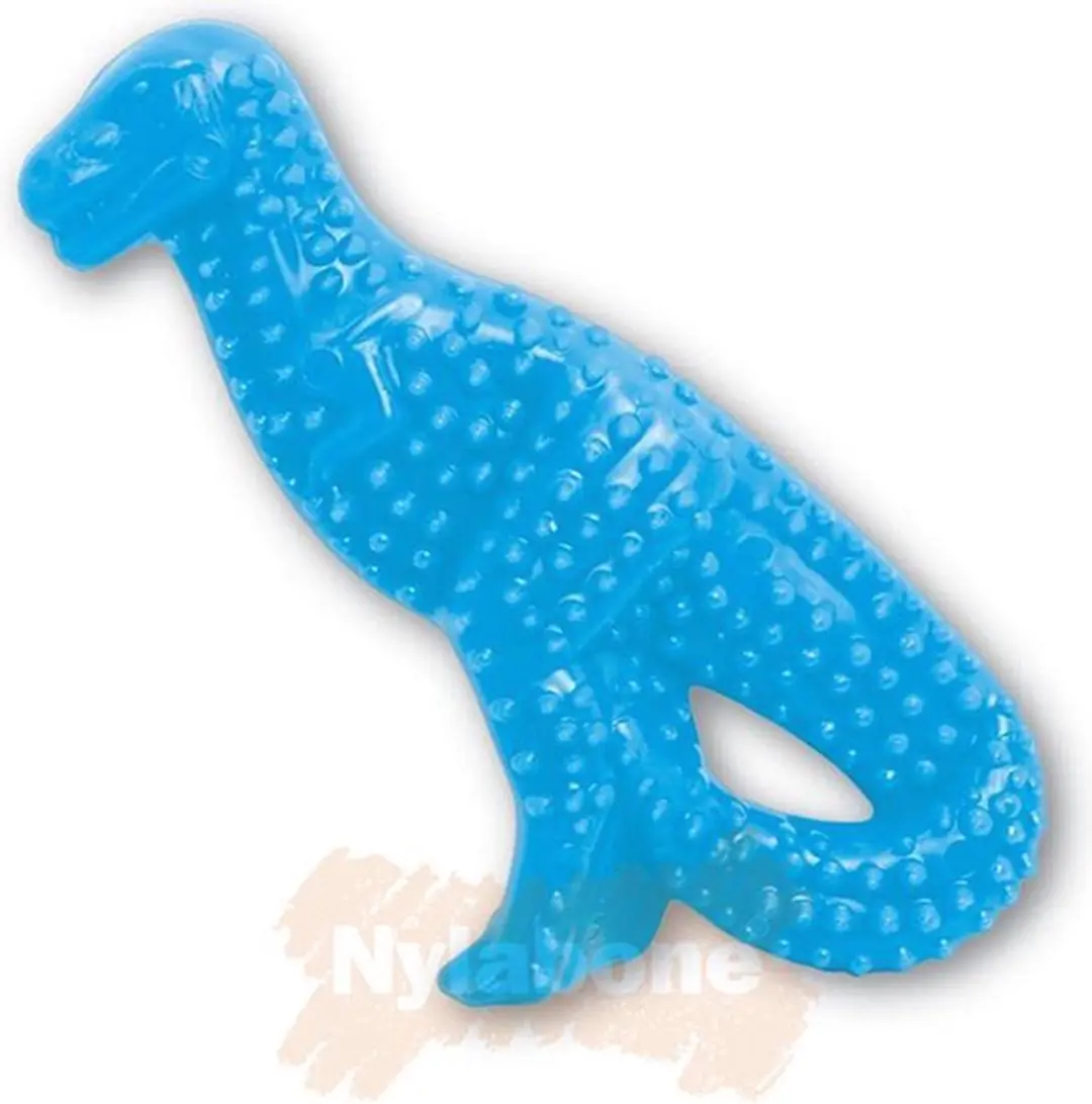 Nylabone chew best voor puppy's