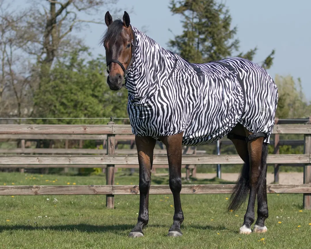 QHP Eczeemdeken 165cm - 200g - Bruin