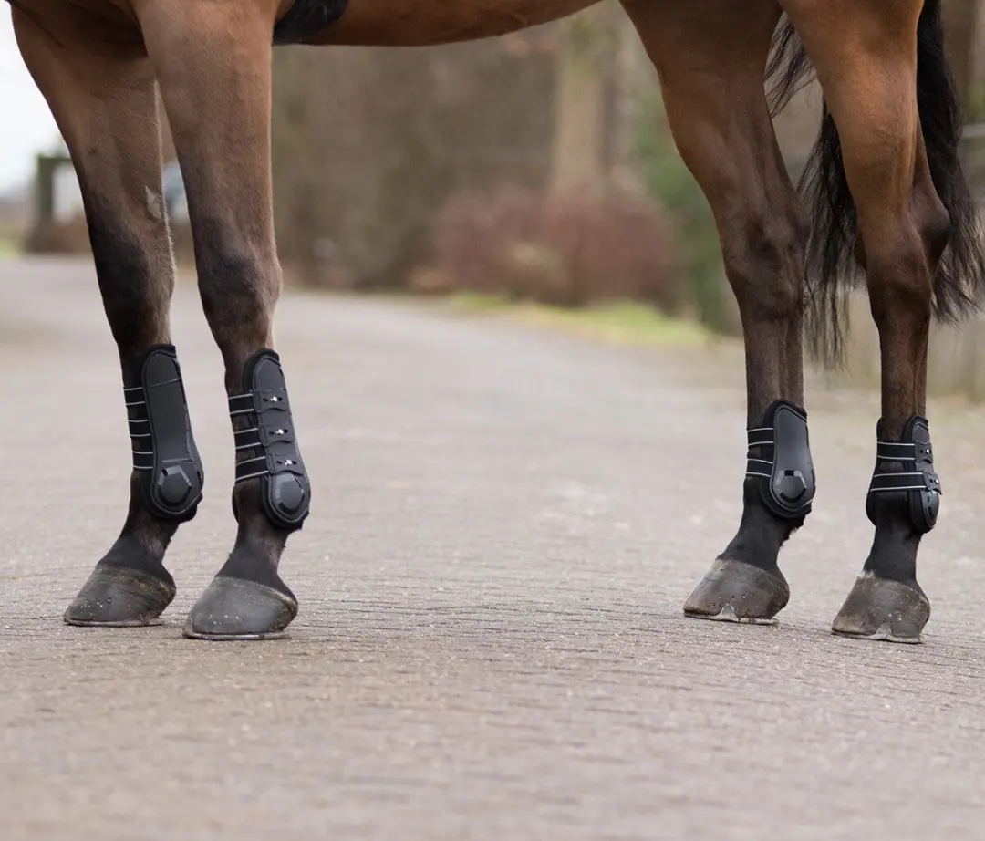 QHP Champion Kogelbeschermers Zwart - Maat Cob