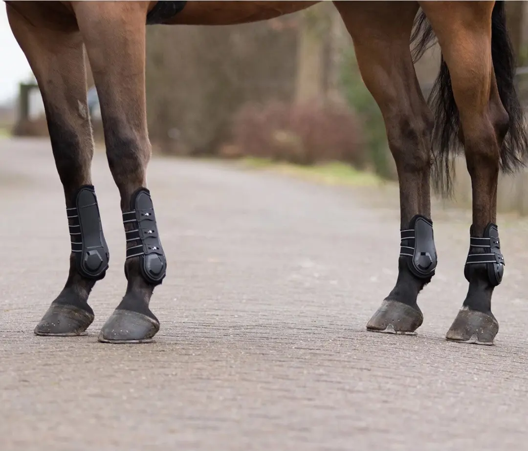 QHP Champion Kogelbeschermers Zwart - Maat Cob