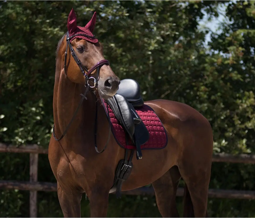 QHP Oornetje Florence Donkerrood - Pony