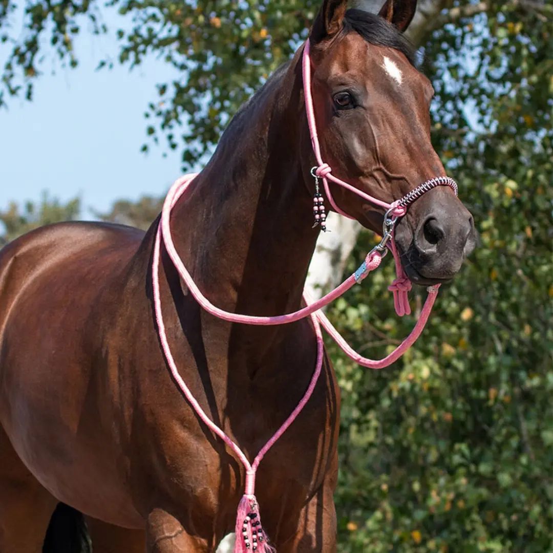 QHP Touwhalster Combi Neckrope Shetlander - Flamingo Pink