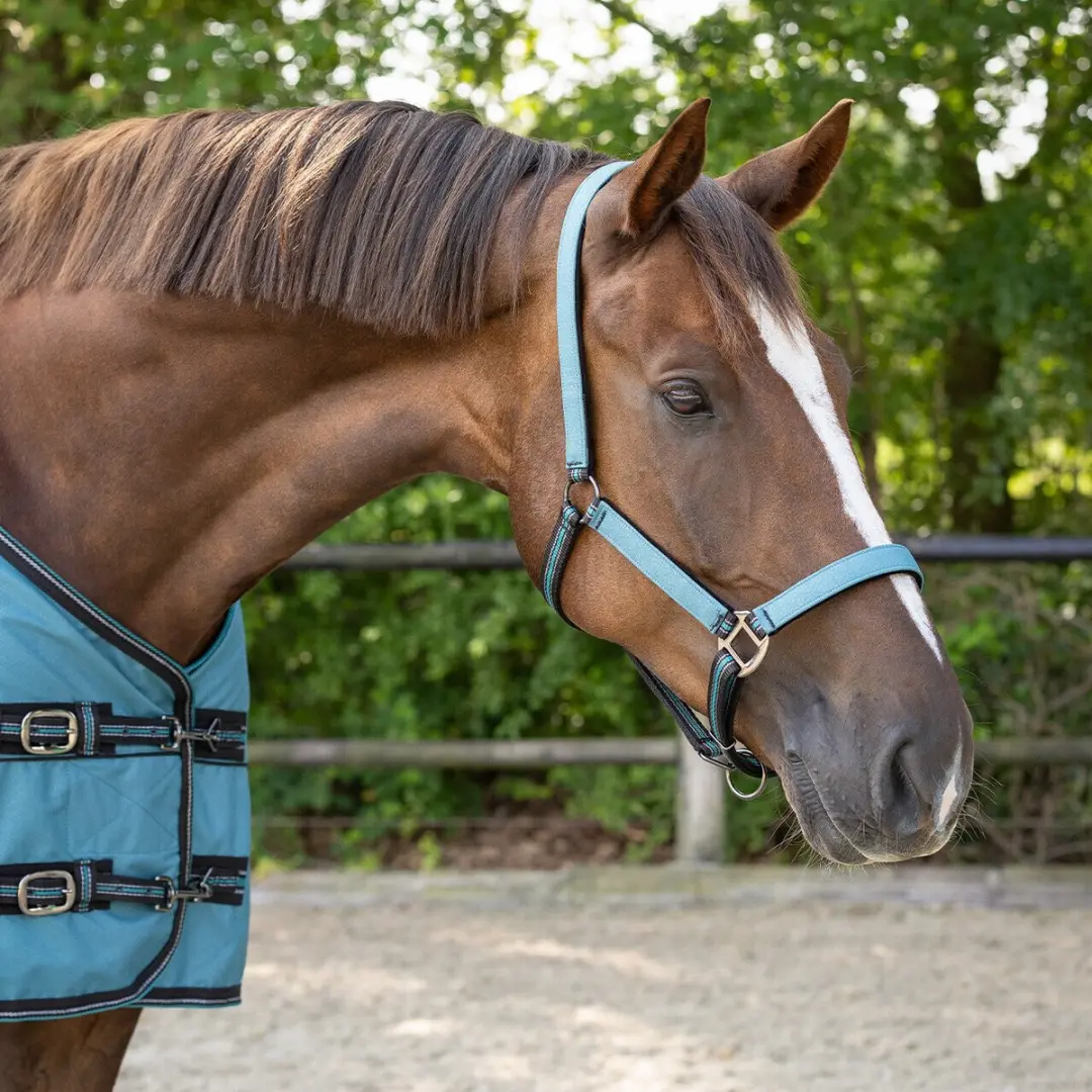 QHP Duo Halster en Longe Cob - Ocean Breeze - afbeelding 2 van 6