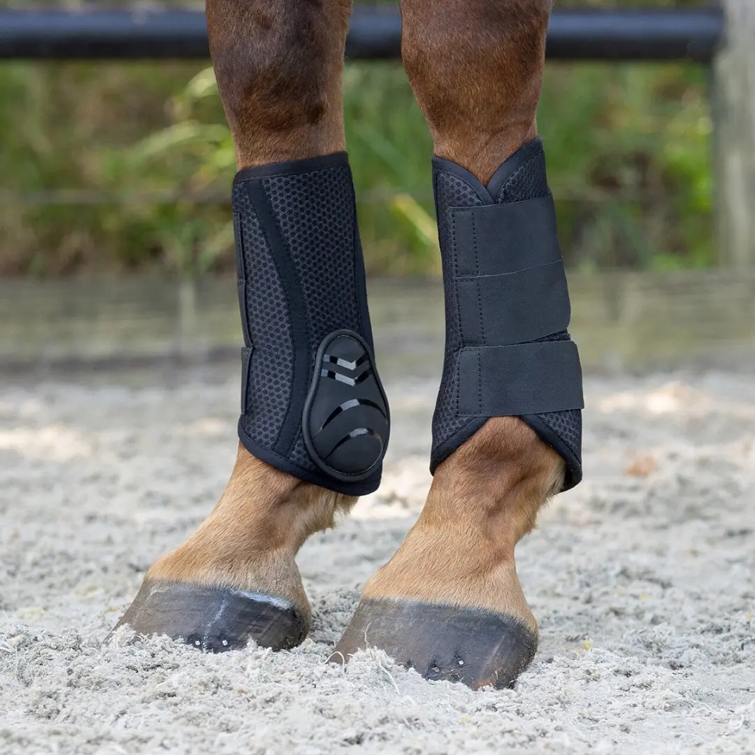 QHP Air Mesh Beenbeschermers M - Zwart