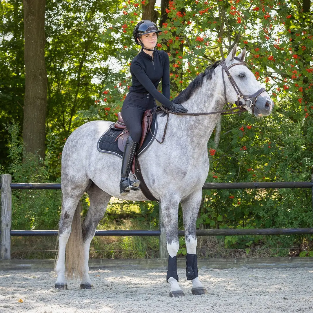 QHP Air Mesh Beenbeschermers M - Zwart