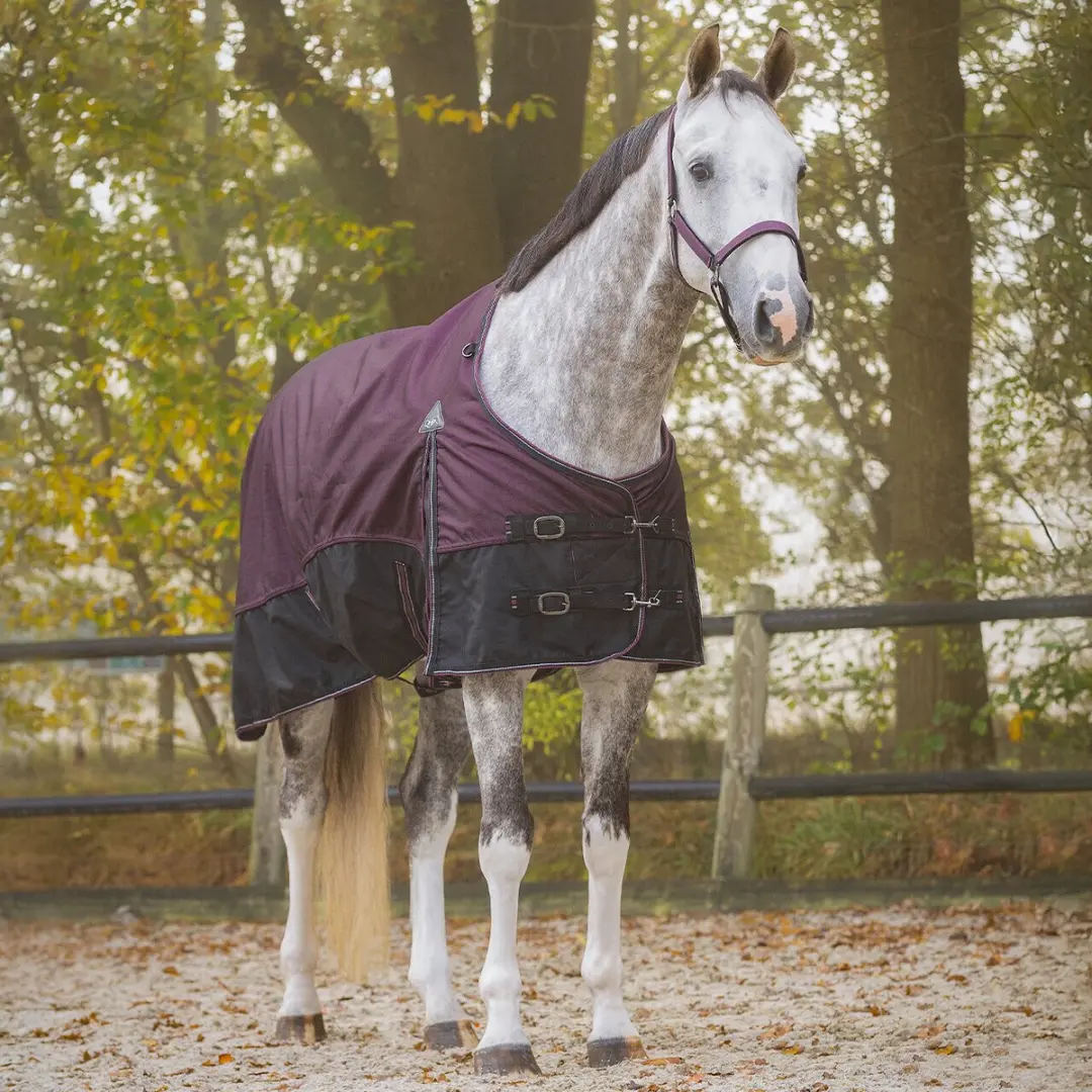 QHP Collection Paardendeken 50g - 215cm - Wijnrood - afbeelding 3 van 6