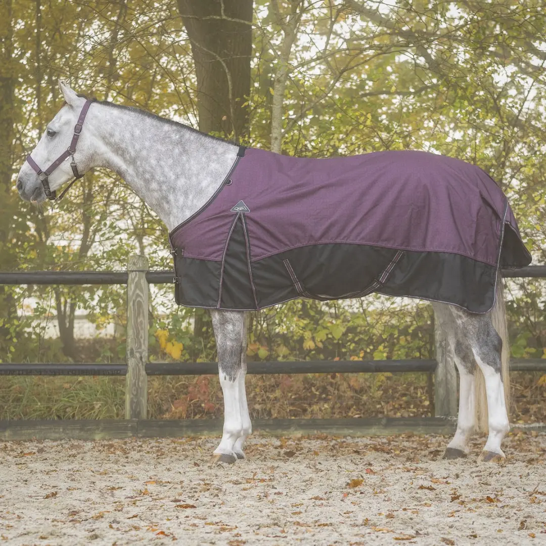 Paardendeken QHP Collection 50 g