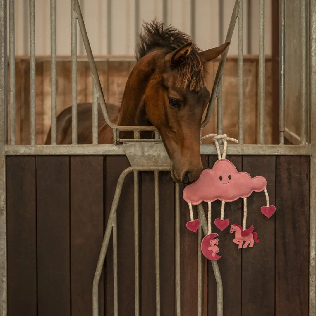 QHP Novy Paardenspeelgoed - Groen - afbeelding 6 van 6