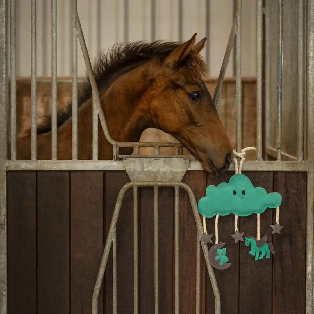 QHP Novy Paardenspeelgoed - Groen