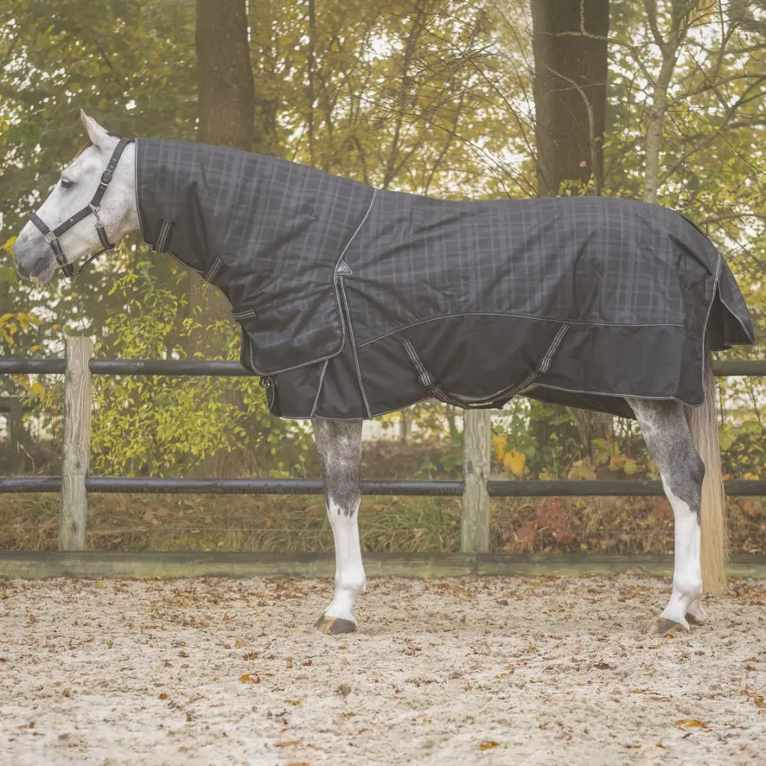 Afneembare deken voor paard nek QHP Collection 150g