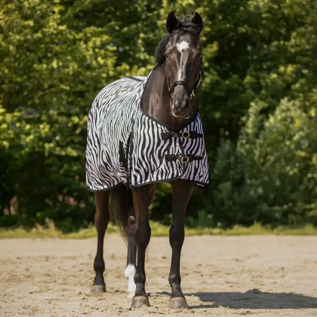 QHP Paardenvliegendeken