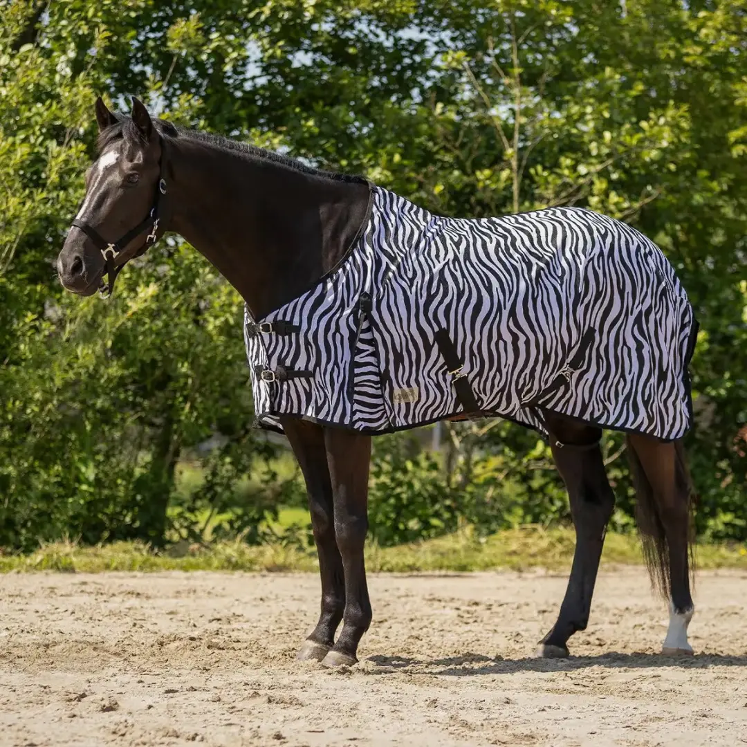 QHP Paardenvliegendeken