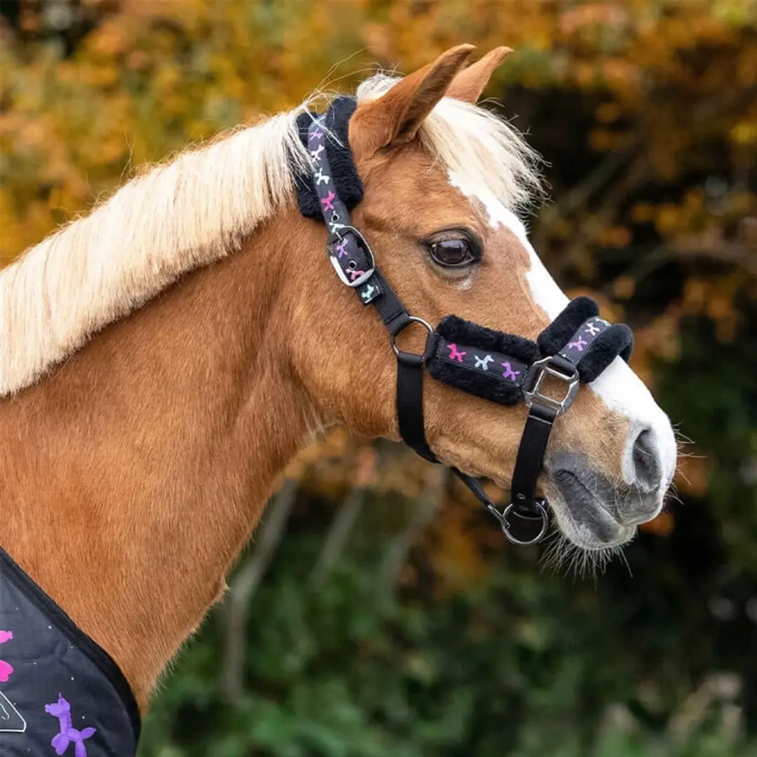 QHP Isalyn Halsterset - Cob Unicorn Dream - afbeelding 6 van 6