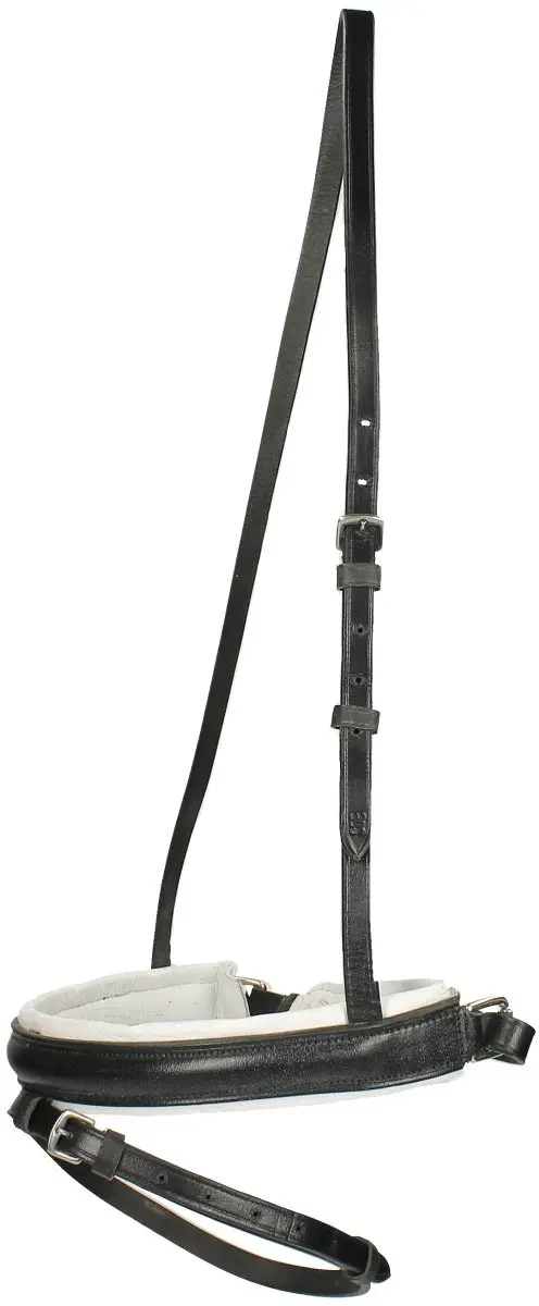 Epplejeck Neusriem Gecombineerd Tract Cob - Zwart-wit