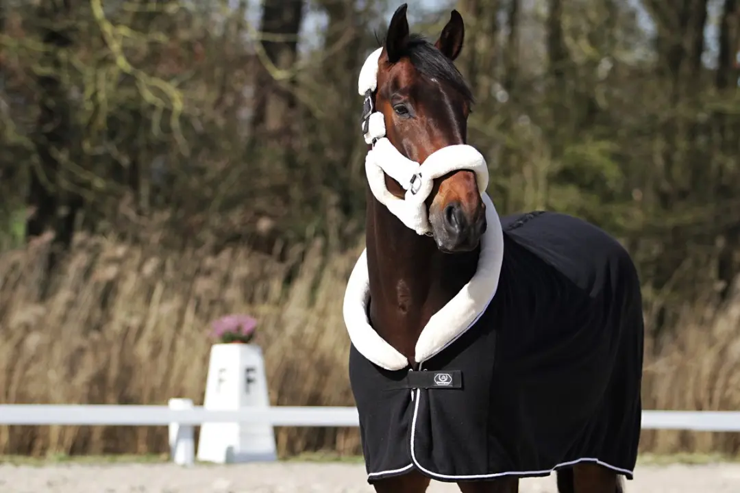 Horsegear Allure Zweetdeken 130cm - 4-seizoenen - Zwart