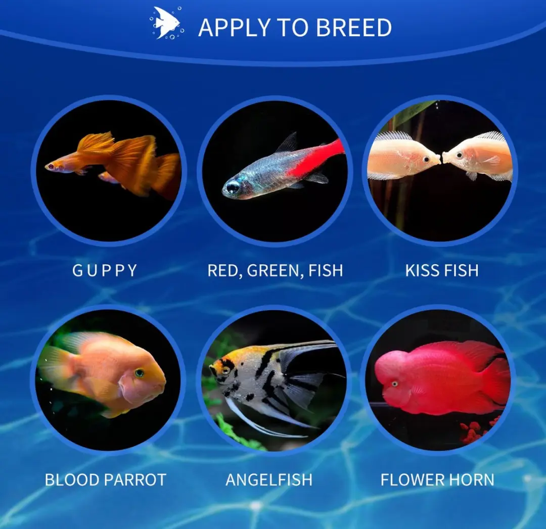 Nobleza Vissenvoer Vlokken 38g - Tropisch Aquariumvoer