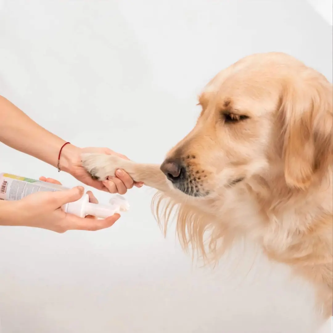 Nobleza Potenreiniger Honden & Katten - 250ml