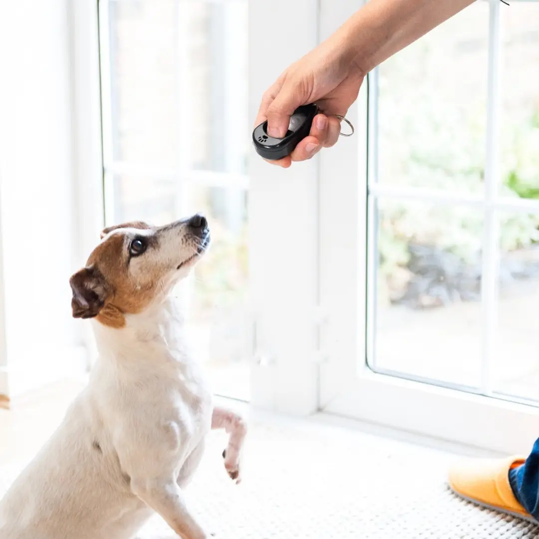 Nobleza Clicker Hondentraining - 4 Tonen - Zwart