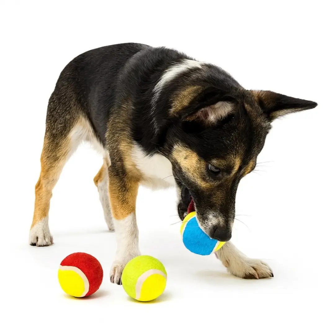 Nobleza Tennisballen Honden