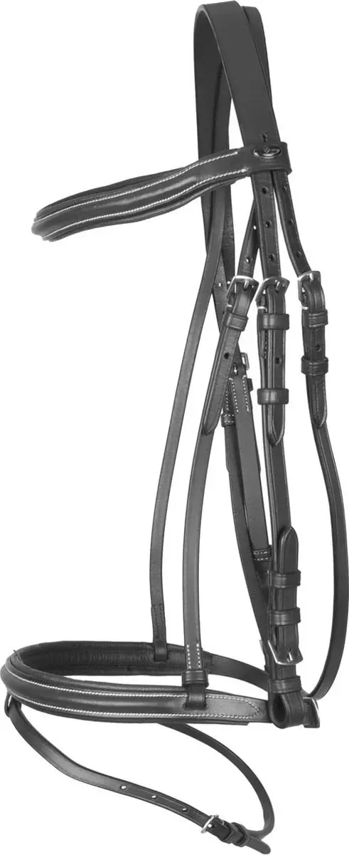 Pagony Basic Gecombineerd Hoofdstel Cob