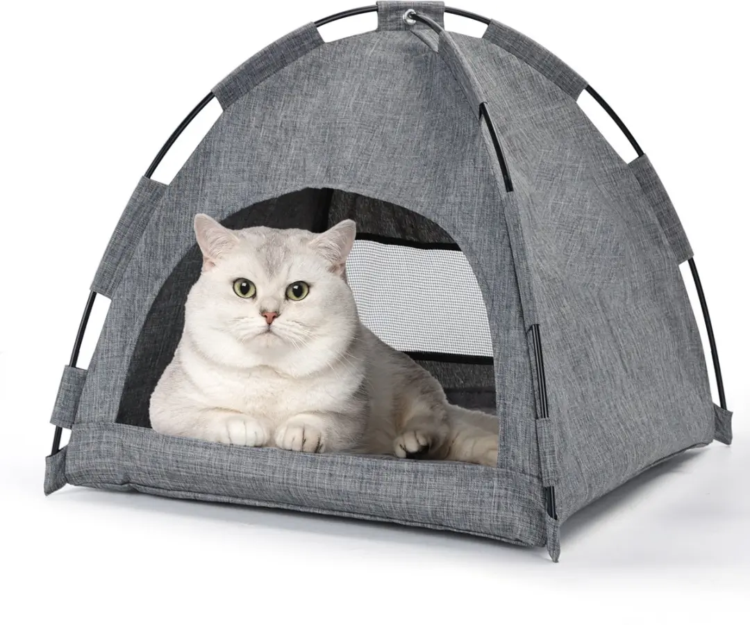 Nobleza Katten Wigwam