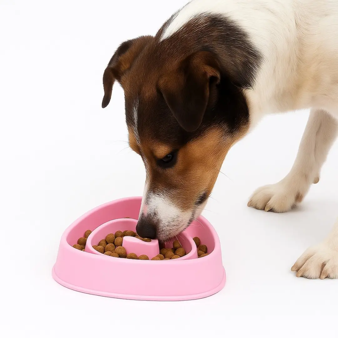 Nobleza Anti-Schrokbak Hond