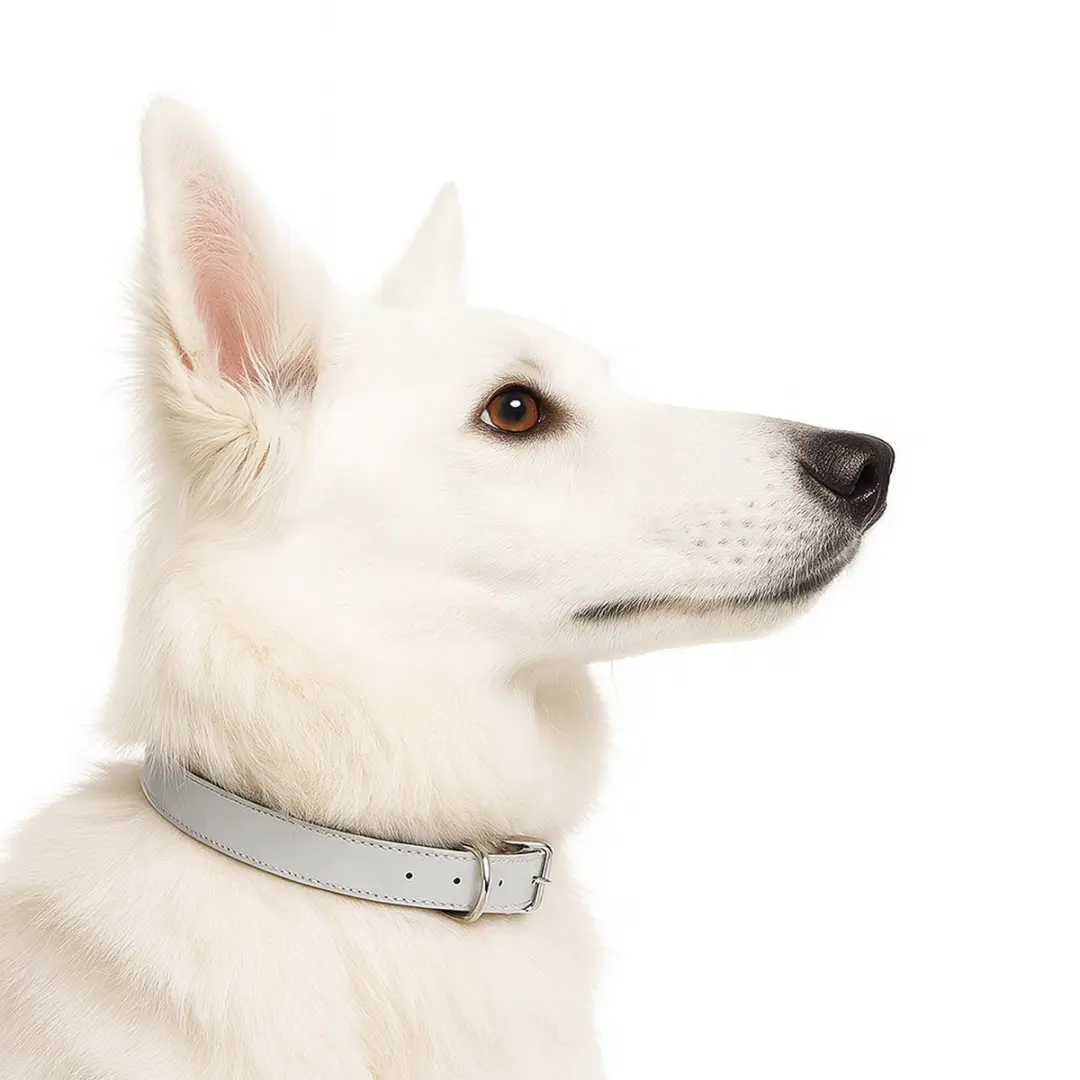 Nobleza Hondenhalsband M