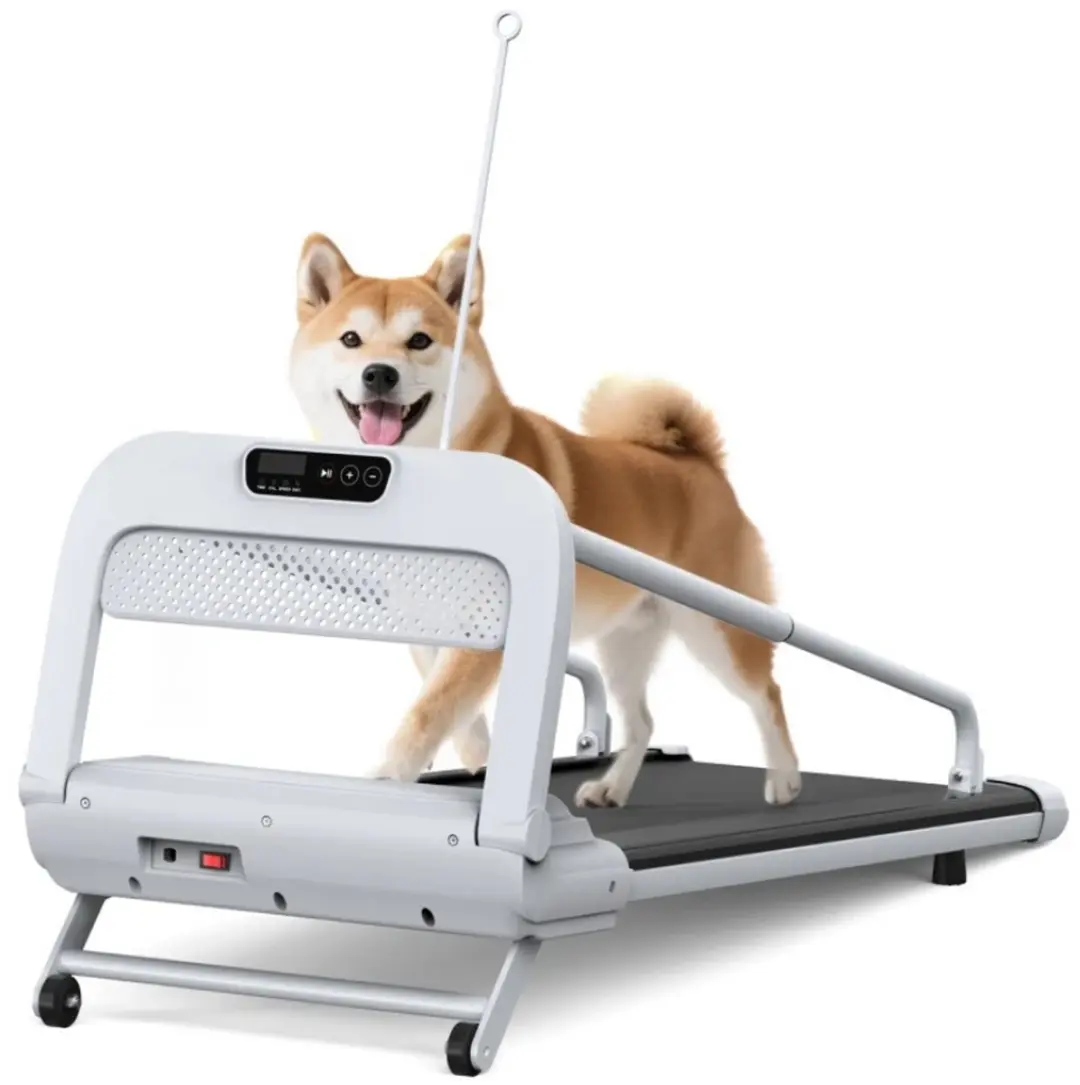 G&G honden loopband