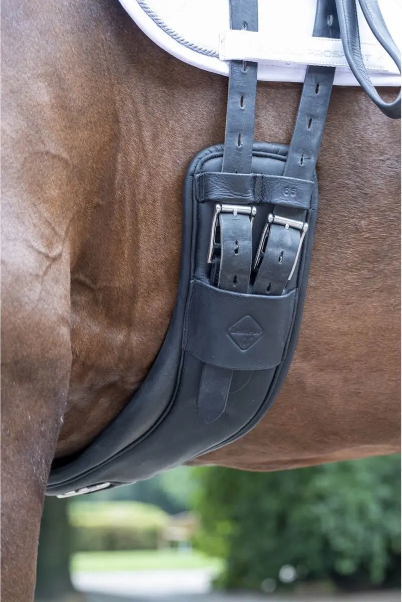 Lemieux Dressuursingel Gel-Tek Black 65cm