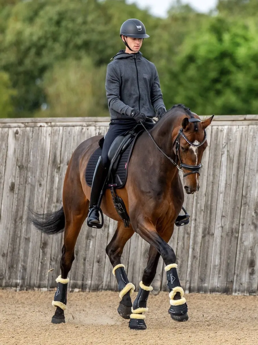 Lemieux Motionflex Dressage Beenbeschermers M - Zwart