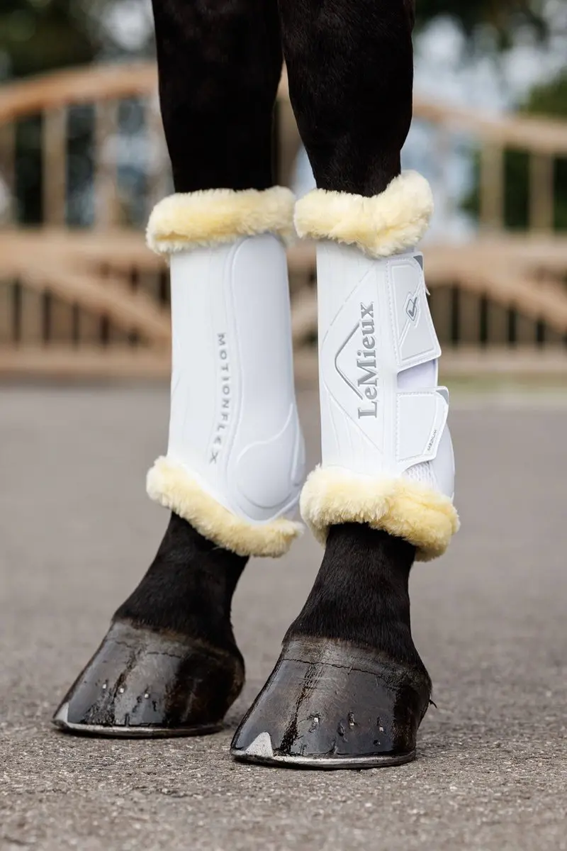 Lemieux Motionflex Dressage Beenbeschermers M - Zwart