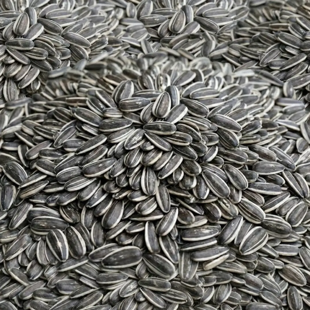 Famiflora Gestreepte Zonnebloempitten 12,5kg - afbeelding 2 van 3