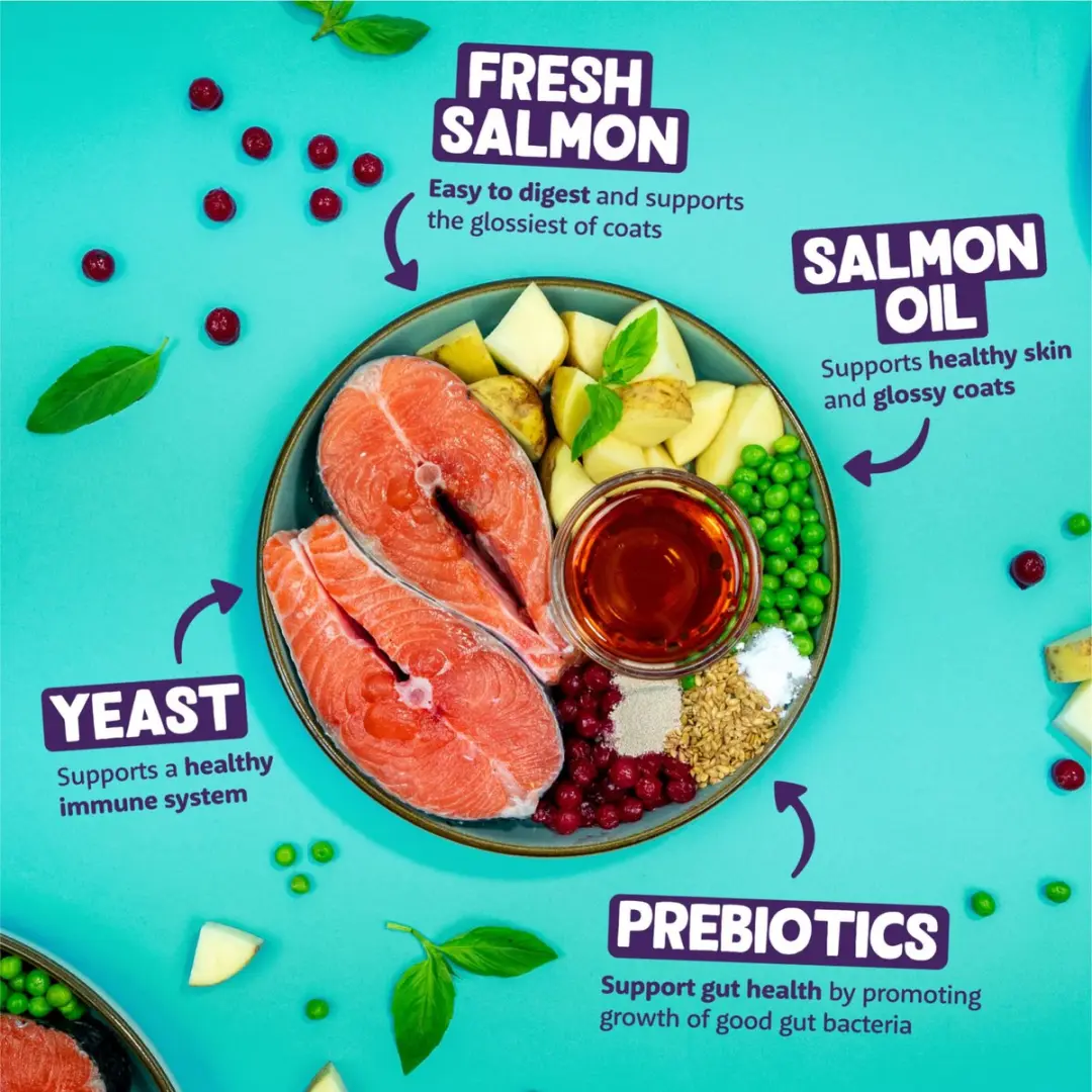 Edgard & Cooper Kattenvoer Brokjes Verse Zalm - 4kg