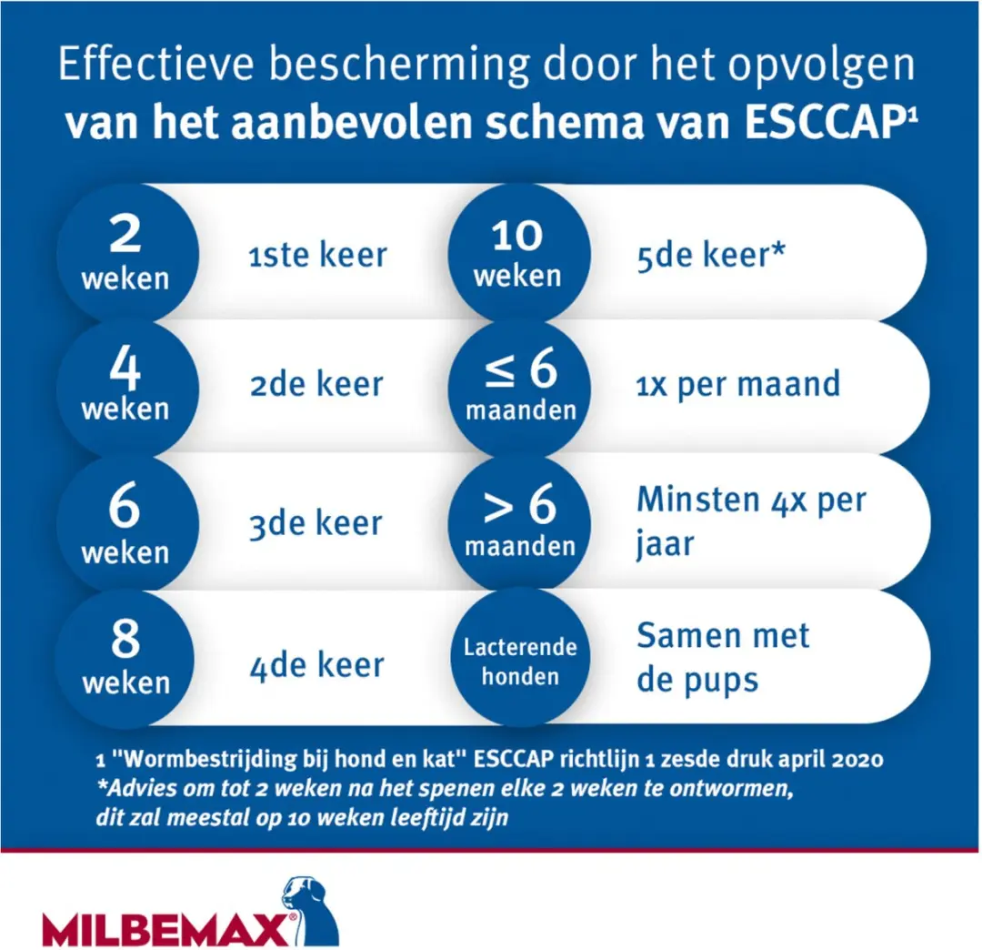 Milbemax Hond Anti-wormmiddel 2 tabletten 10-75kg