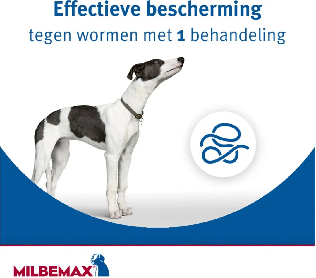 Milbemax Hond Anti-wormmiddel 2 tabletten 10-75kg