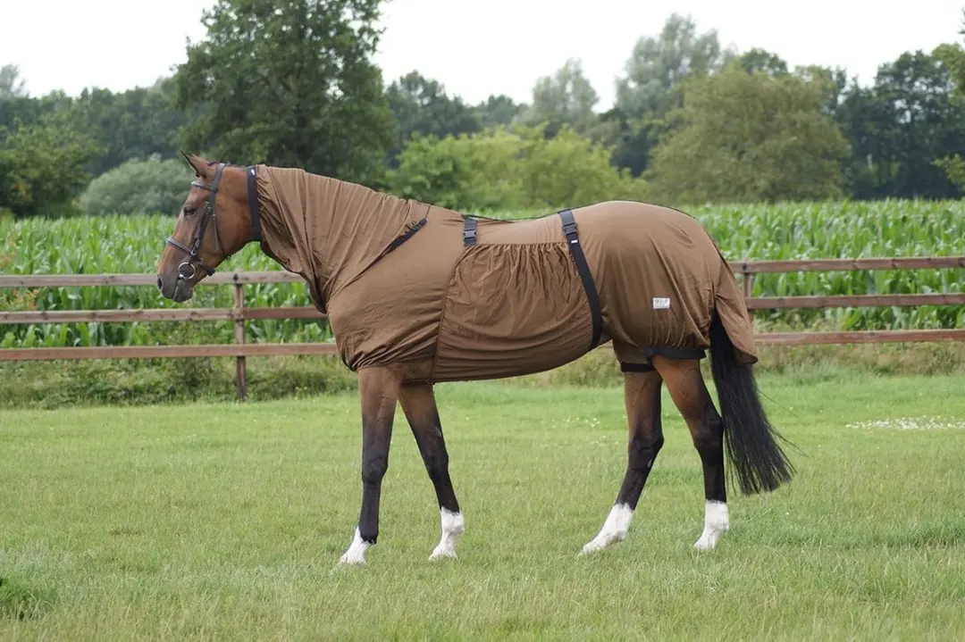 QHP Eczeemdeken 90/125cm - Bruin - afbeelding 6 van 6