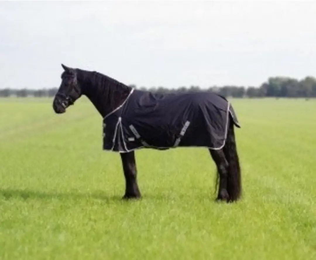 QHP Turnout XL Deken 300g - 155cm Zwart - afbeelding 6 van 6