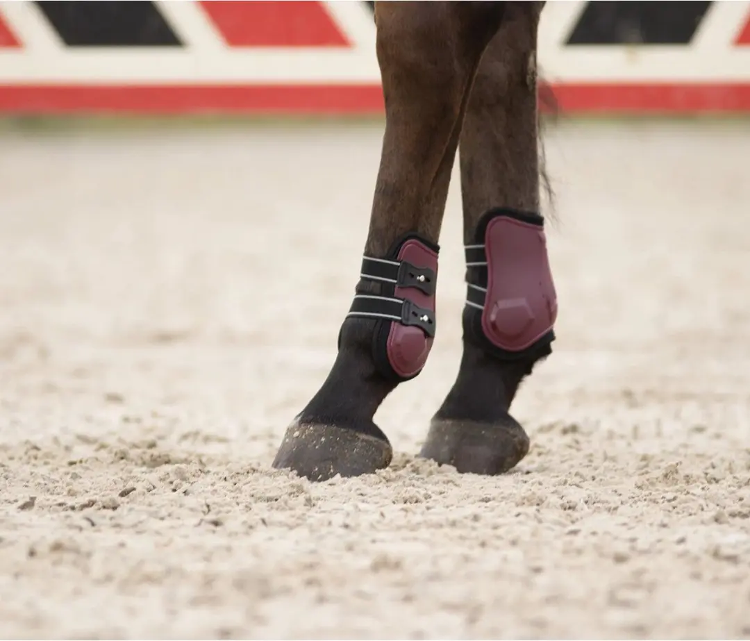 QHP Champion Donkerrood Kogelbeschermers - Pony