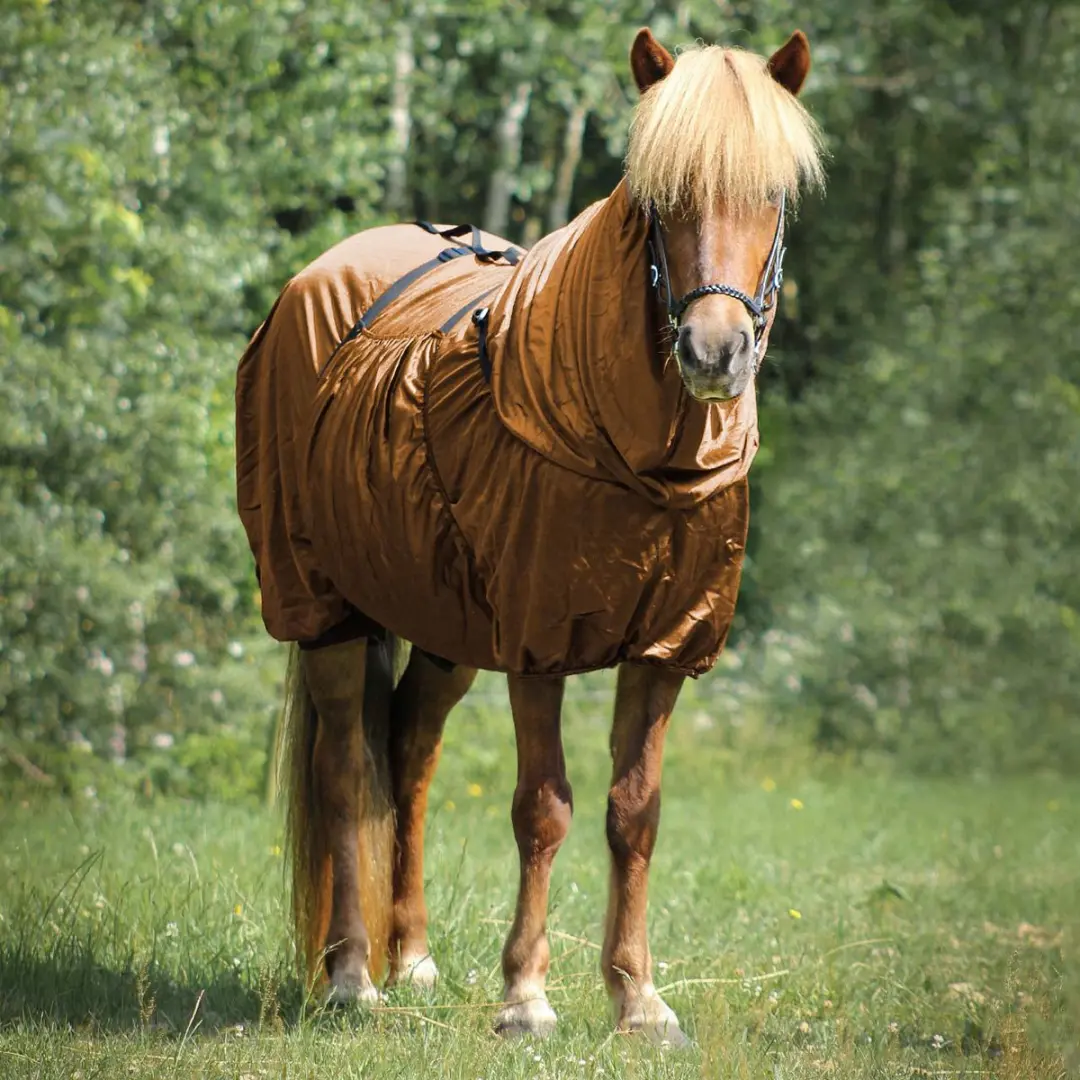QHP Eczeemdeken Icelandic Bruin - 135