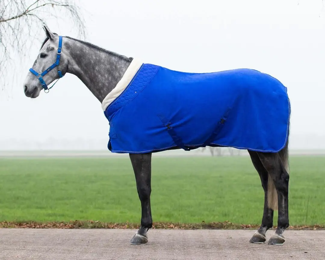 Fleece deken Brilliance Victoria blue-205