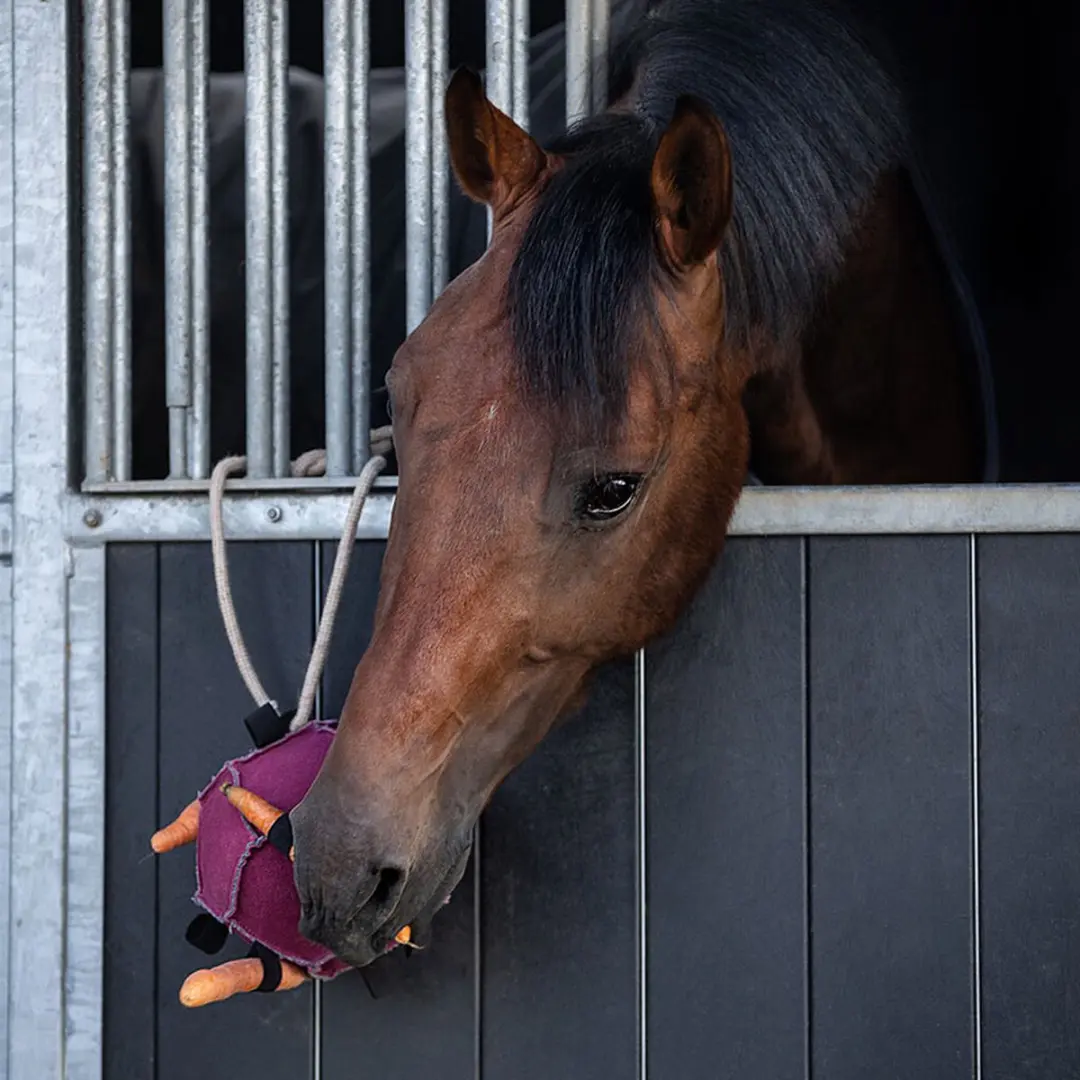 QHP Paardenspeelgoed Bal - Roze