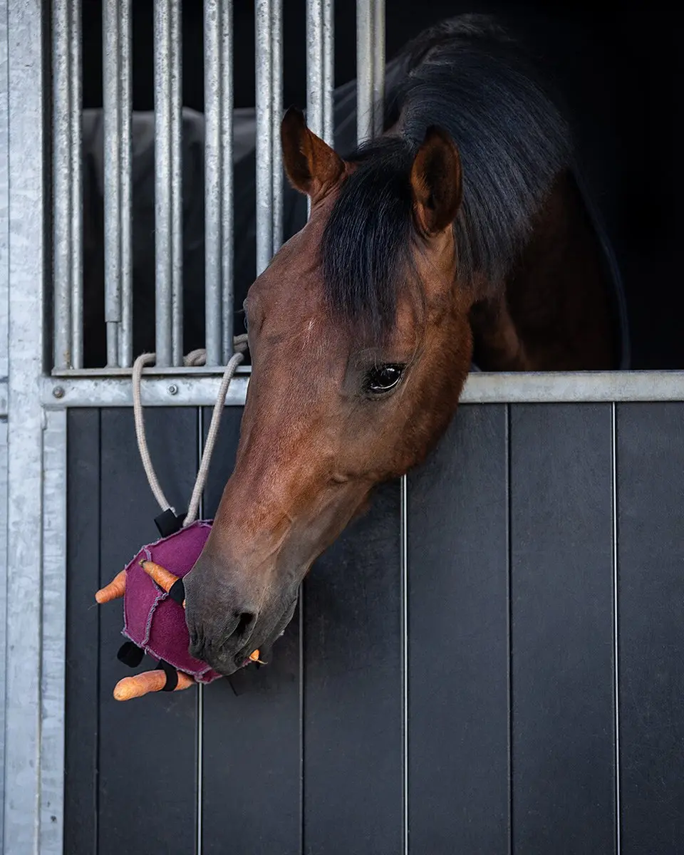 QHP Paardenspeelgoed Bal - Roze