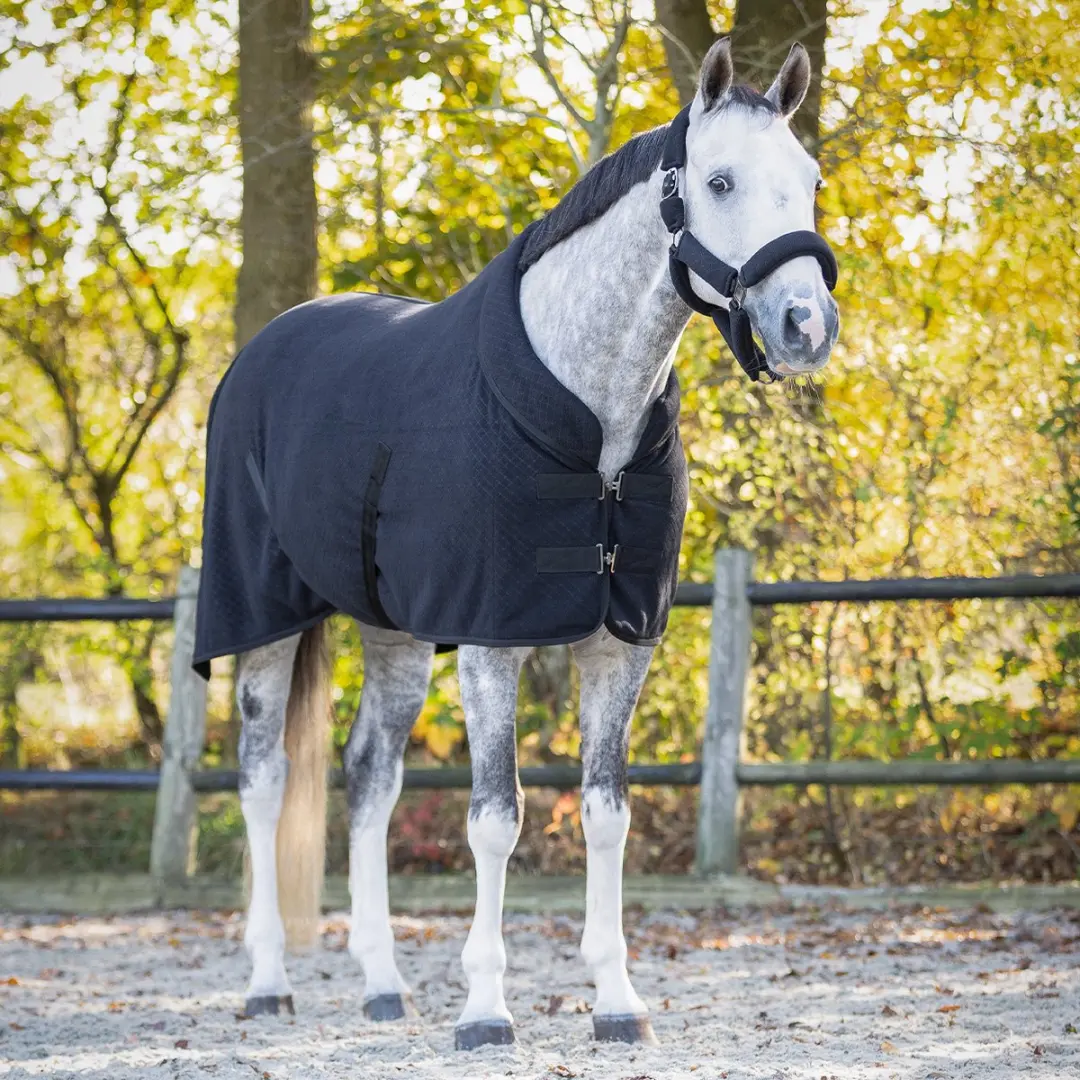 QHP Showdeken Zahra 185cm - 4-Seizoenen - Zwart - afbeelding 5 van 6
