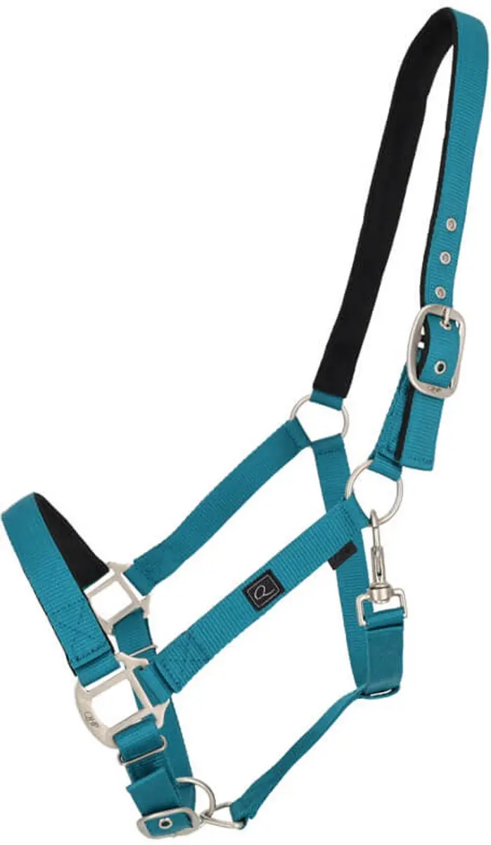 QHP Halster Gevoerd Teal - Full - afbeelding 3 van 3