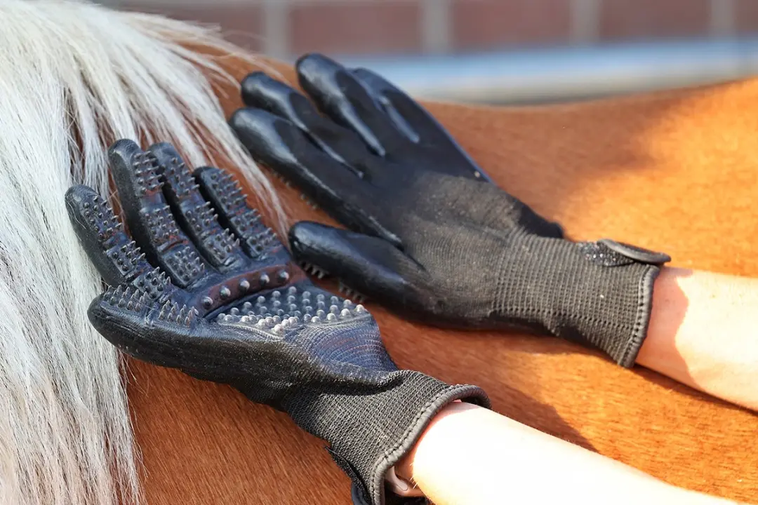 Horsegear Poetshandschoenen Hgscrub - Zwart