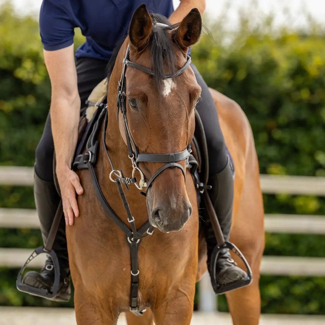 Horsegear HGVertou Borsttuig Cob - Zwart