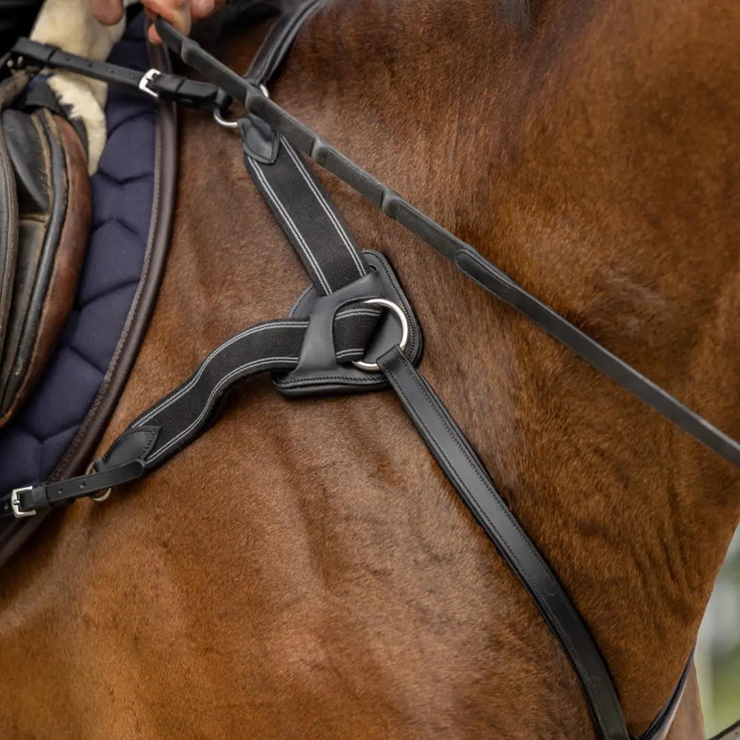 Horsegear HGVertou Borsttuig Cob