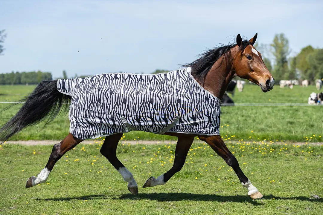 Epplejeck Ejzebra 2.0 Vliegendeken 130cm