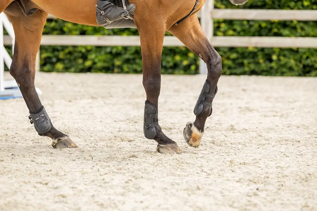 Horsegear Peesbeschermers HGprotection Full - Bruin